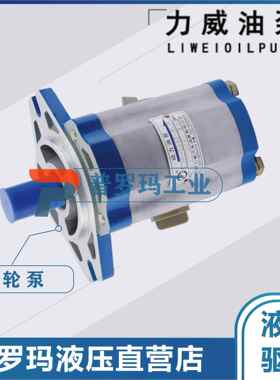 合肥力威汽车油泵潍柴、杭发WD615天力转向泵长起吊车QC25/15-STA
