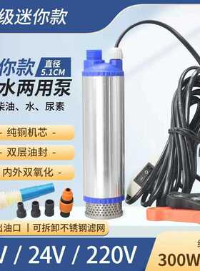 电动抽油泵柴油泵5.1cm新款12v24v220v款油抽子抽水迷你型潜水泵
