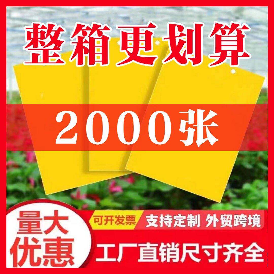 工厂直销加厚粘虫黄蓝板双面小黑飞诱虫大棚专用农用家用诱捕果蝇