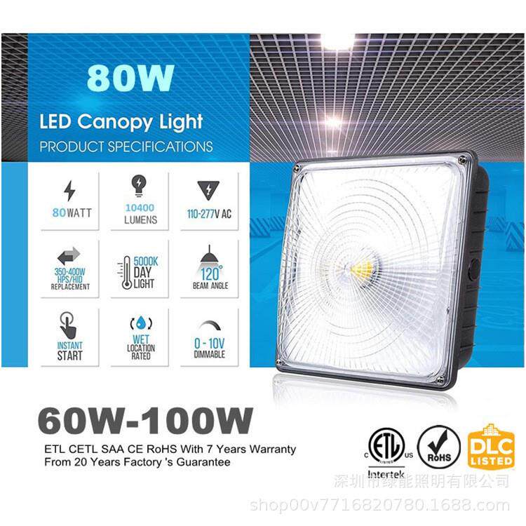 40W 60W SAA CE CB摇杆拨码三色三功率切换省库存LED油站灯canopy