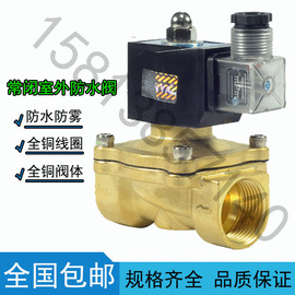 室外防水防雾防潮电磁阀水阀开关阀220VDC24V气阀排水DC12V4分6分