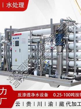 20吨反渗透设备蓝莓种植基地工业工厂去离子超纯水设备厂家直供