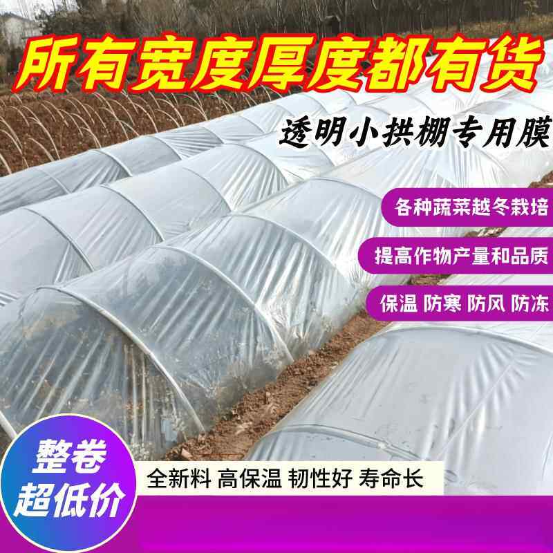 小拱棚专用膜农用二层膜保温防冻耐寒加厚大棚膜塑料薄膜拱棚支架