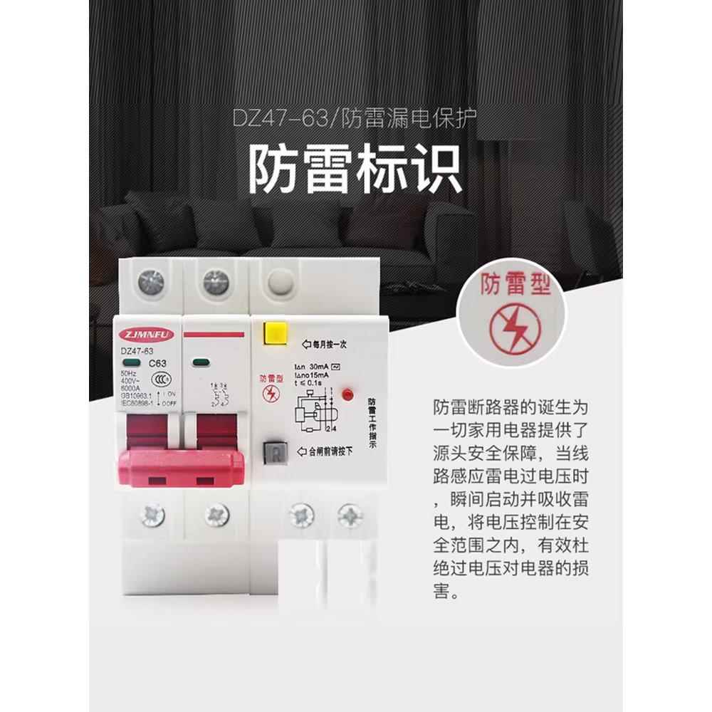 高档220V3两根线漏电保护器 2A 63A空家气开关P防雷击带灯用断路2