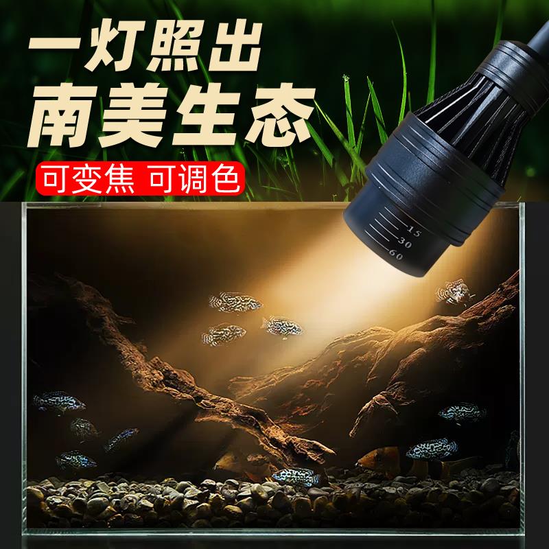 鱼缸灯南美造景专用灯变焦led射灯雷龙原生三湖观赏小型照明夹灯