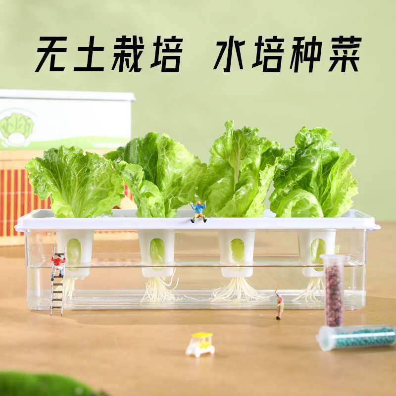 水培幼儿园智能无土栽培蔬菜生菜家庭观察种植箱学生盆栽作业种菜