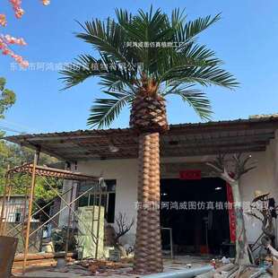 新款直销仿真海枣树加纳利海藻树 大型游乐园商场恐龙园椰子树景
