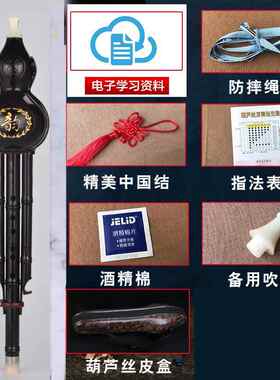 高档防镀摔铜葫芦丝乐器初学中学生调专业演奏c成人降b调儿童耐用