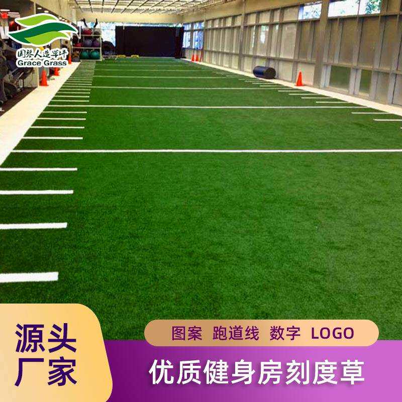 出口品质健身房草坪垫刻度草人工功能私教假草坪加密运动草皮垫