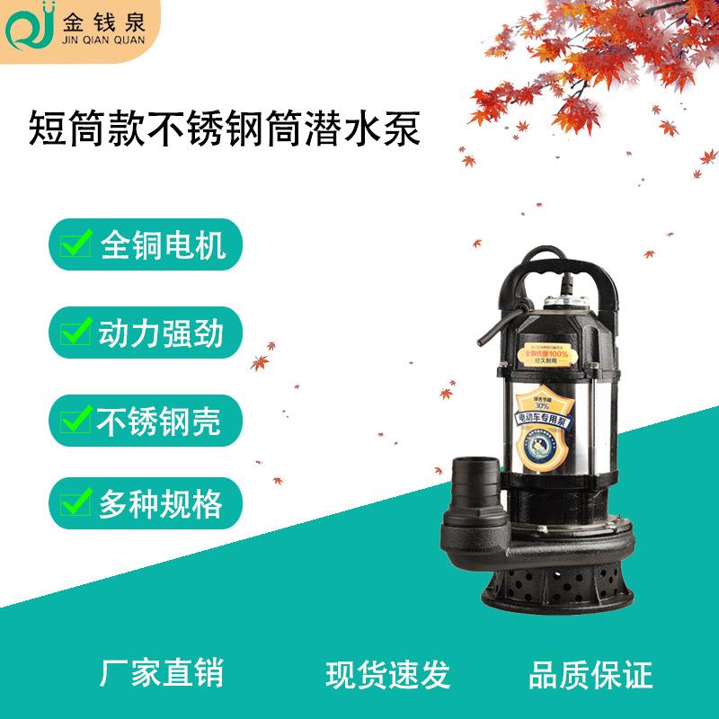 短筒不锈钢24v潜水泵大流量灌溉排水抽水清水泵农用家用防汛水泵