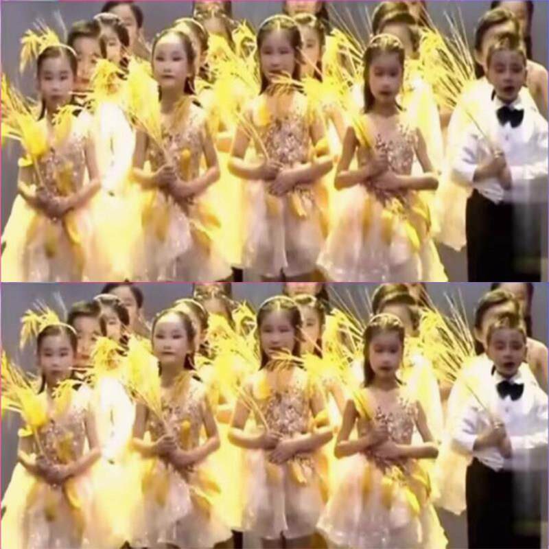 稻田里的中国梦服装稻穗儿童表演出道具幼儿园朗诵读蓬蓬纱裙子蓬