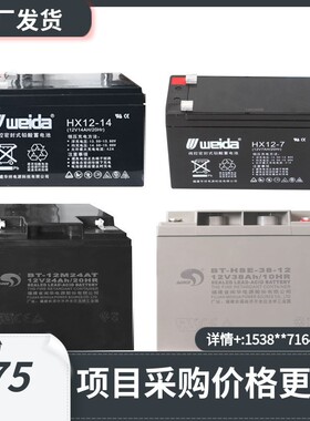 利达主机蓄电池LD128系列主机备用电池12V12AH/12V14AH/12V38AH