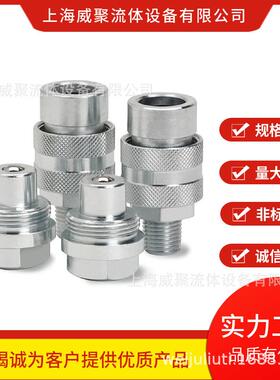 瑞典CEJ N希恩液SQG压快速接头23系2列,10 232 434 公接头, 内螺6