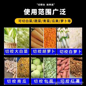 多功能家用养殖不锈钢碎菜机全自动商用打辣椒瓜果蔬菜姜蒜绞碎机
