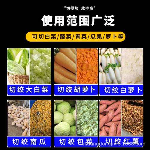 多功能家用养殖不锈钢碎菜机全自动商用打辣椒瓜果蔬菜姜蒜绞碎机