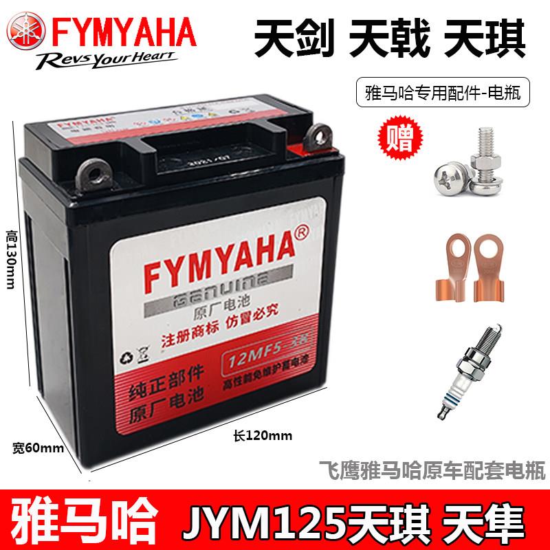 机车干电瓶适用建设雅吗哈JYM125天剑天戟天俊 天骐 天隼蓄电池