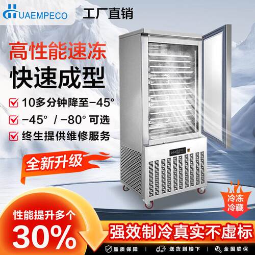 华恩贝科商用速冻柜急冻虾海参生胚饺子包子馒头零下45℃冷冻冰柜