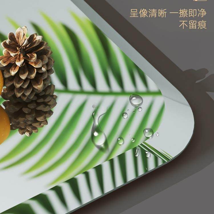 奢风全身穿衣轻镜家用挂墙挂门后镜玻璃镜子贴SBR墙打壁挂孔免试