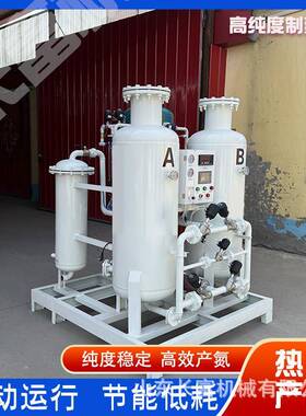小型制氮机食品级氮气机高纯度PSA氮气制造机器一体式制氮机