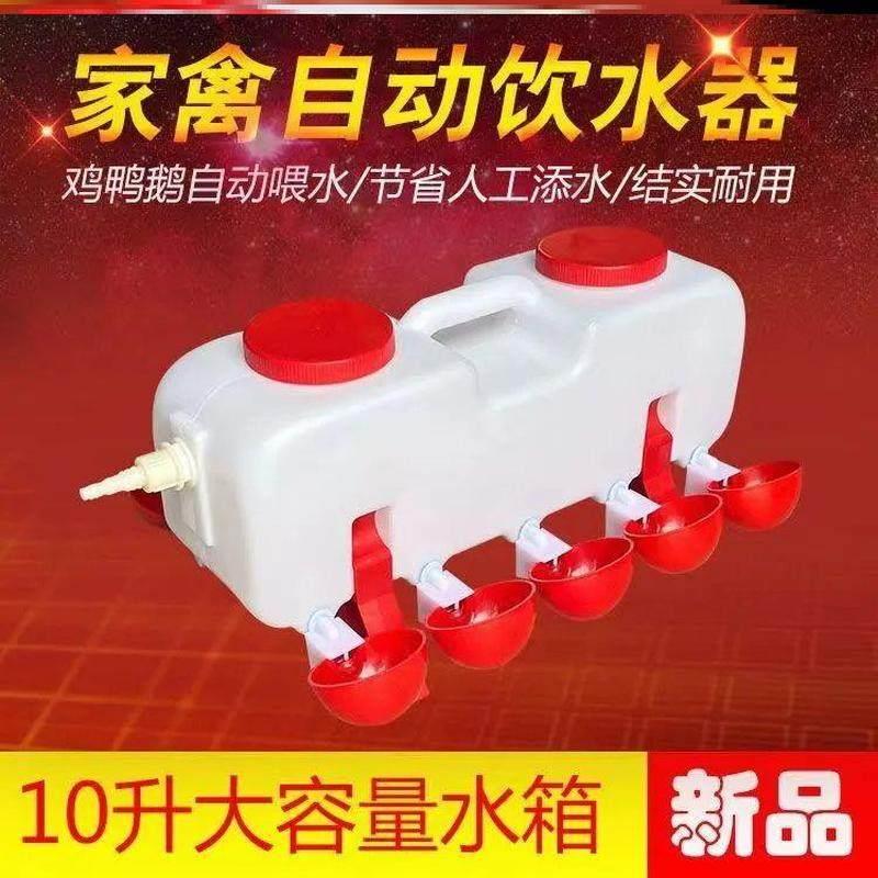 养殖鸡用自动饮水器散养家禽喂水壶鸡水桶鸭子喂水槽鹅用自动水碗