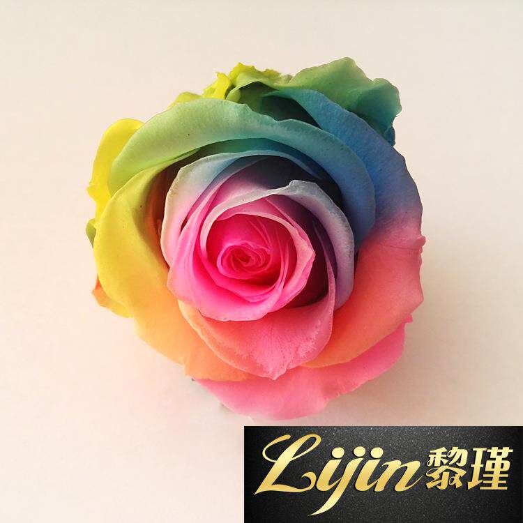 新款直销4-5CM七彩永生花花头 炫彩彩色玫瑰永生花七夕情人节礼物