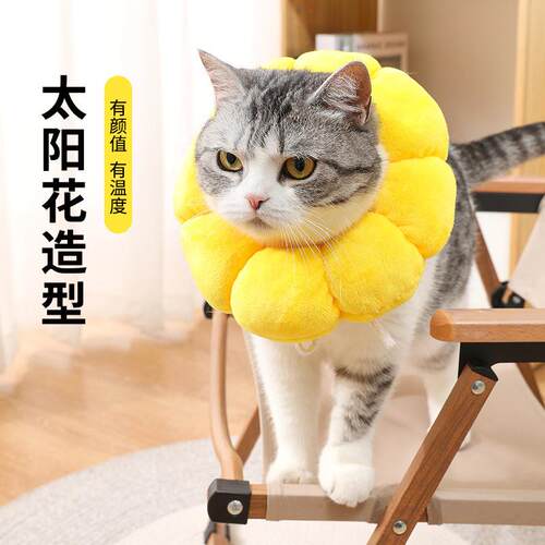 新款直销太阳花伊丽莎白圈 宠物项圈猫咪伊丽莎白项圈狗项圈绝育