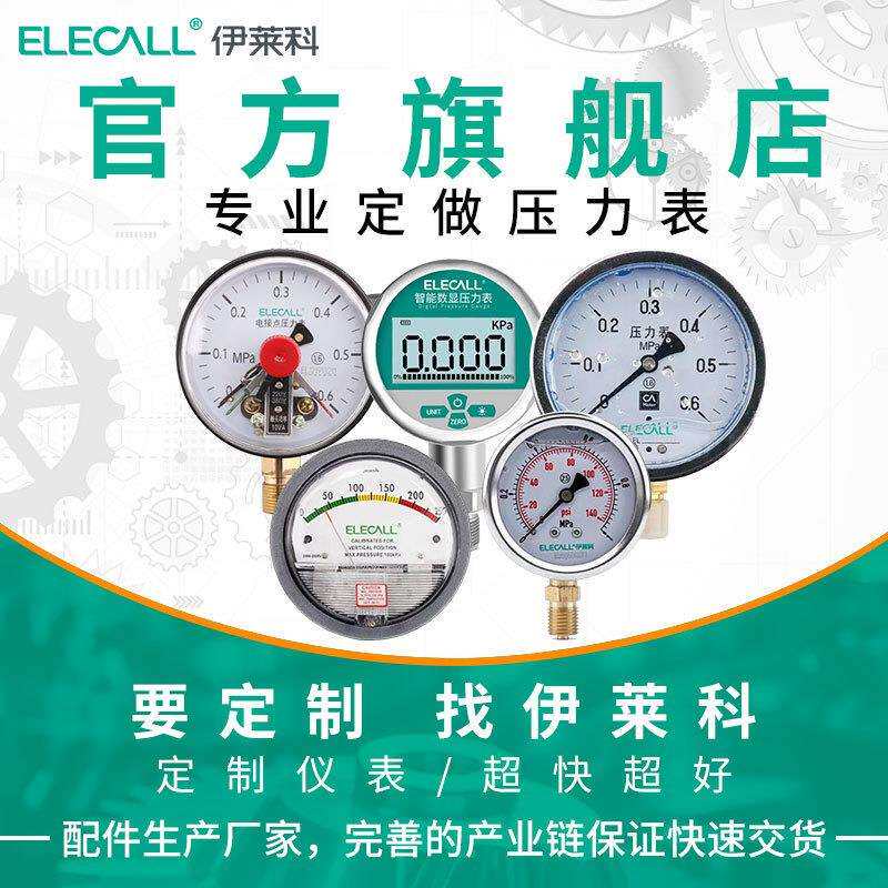 伊莱科（ELECALL）全不锈钢耐震压力表轴向充油水表油表YTN-60BFZ