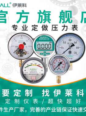 伊莱科（ELECALL）全不锈钢耐震压力表轴向充油水表油表YTN-60BFZ