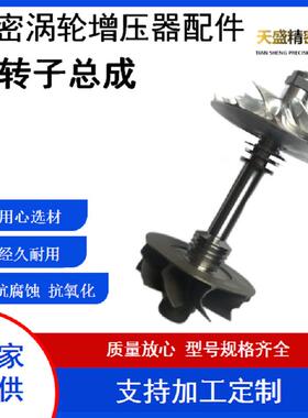汽车涡轮增压器转子总成 BV40 53039700373/0268