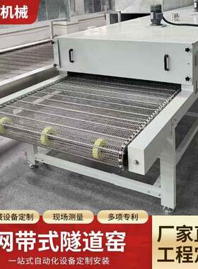 厂家定制网带式隧道窑大型扣板链板输送机工装线板链输送线