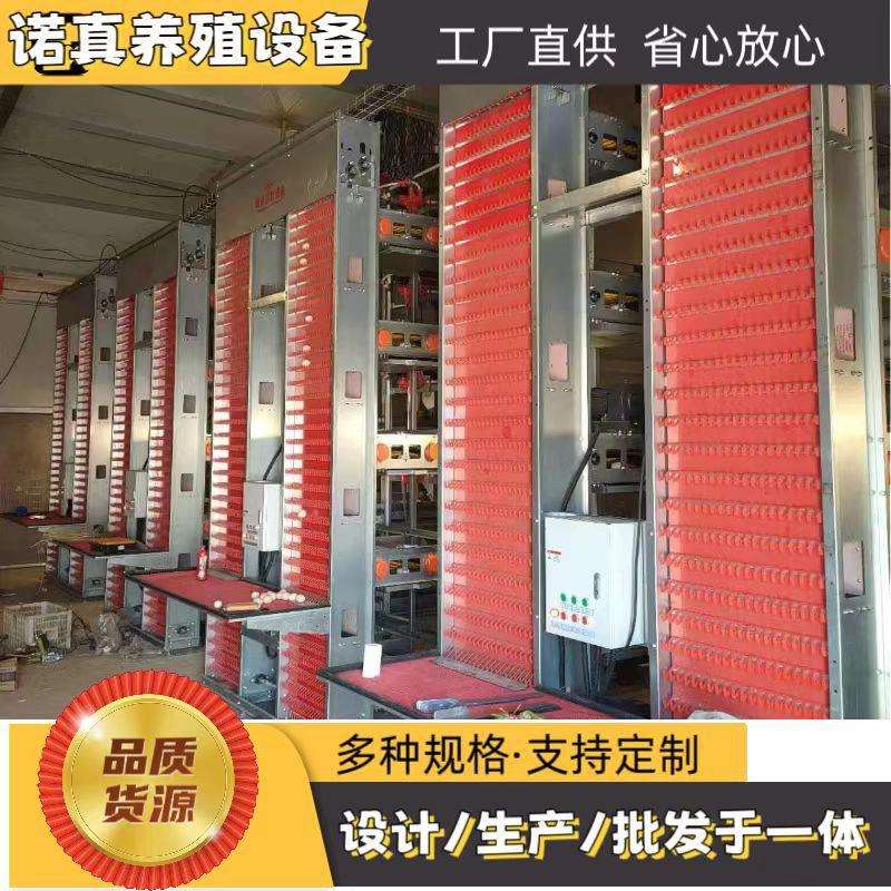 大层叠蛋鸡笼养殖场设备自动捡蛋清粪源头生产厂家养鸡自动料线