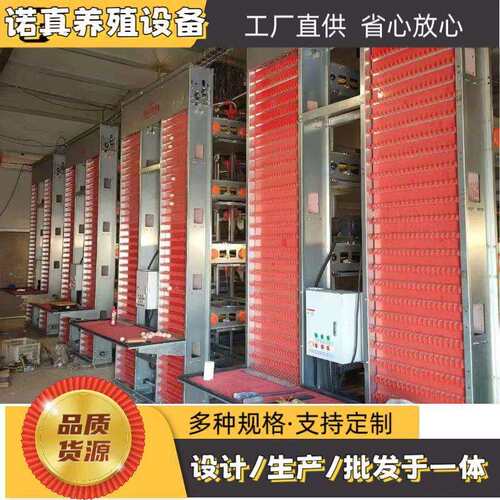大层叠蛋鸡笼养殖场设备自动捡蛋清粪源头生产厂家养鸡自动料线