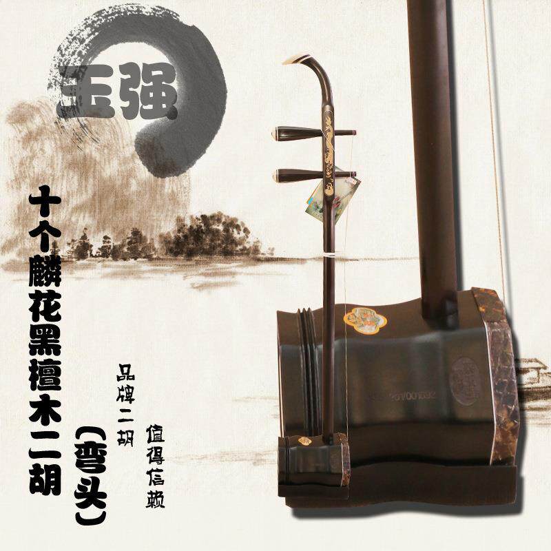 直销新款二胡10鳞花演奏专用老黑檀二胡 六角二胡乐器配件