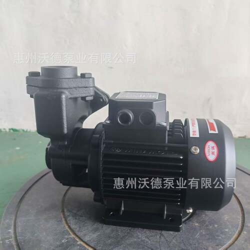 TDR-35导热油200度卧式高温泵新能源半导体精密高低温泵