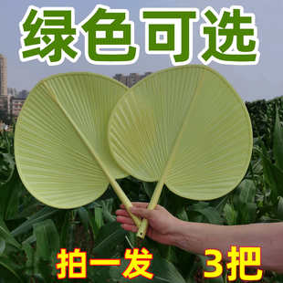 家用扇子蒲扇芭蕉扇老式 夏季 葵扇牛津扇加厚手摇大蒲扇防潮摔不烂