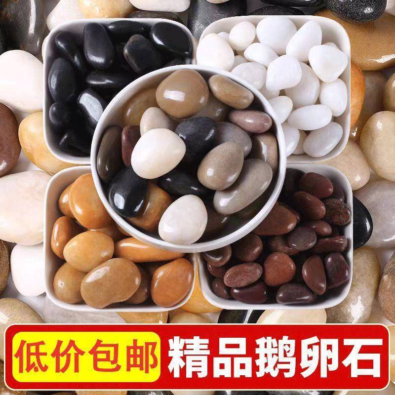 50斤五彩色鹅卵石小石头铺路庭院铺阳台鱼缸天然原石雨花石造景