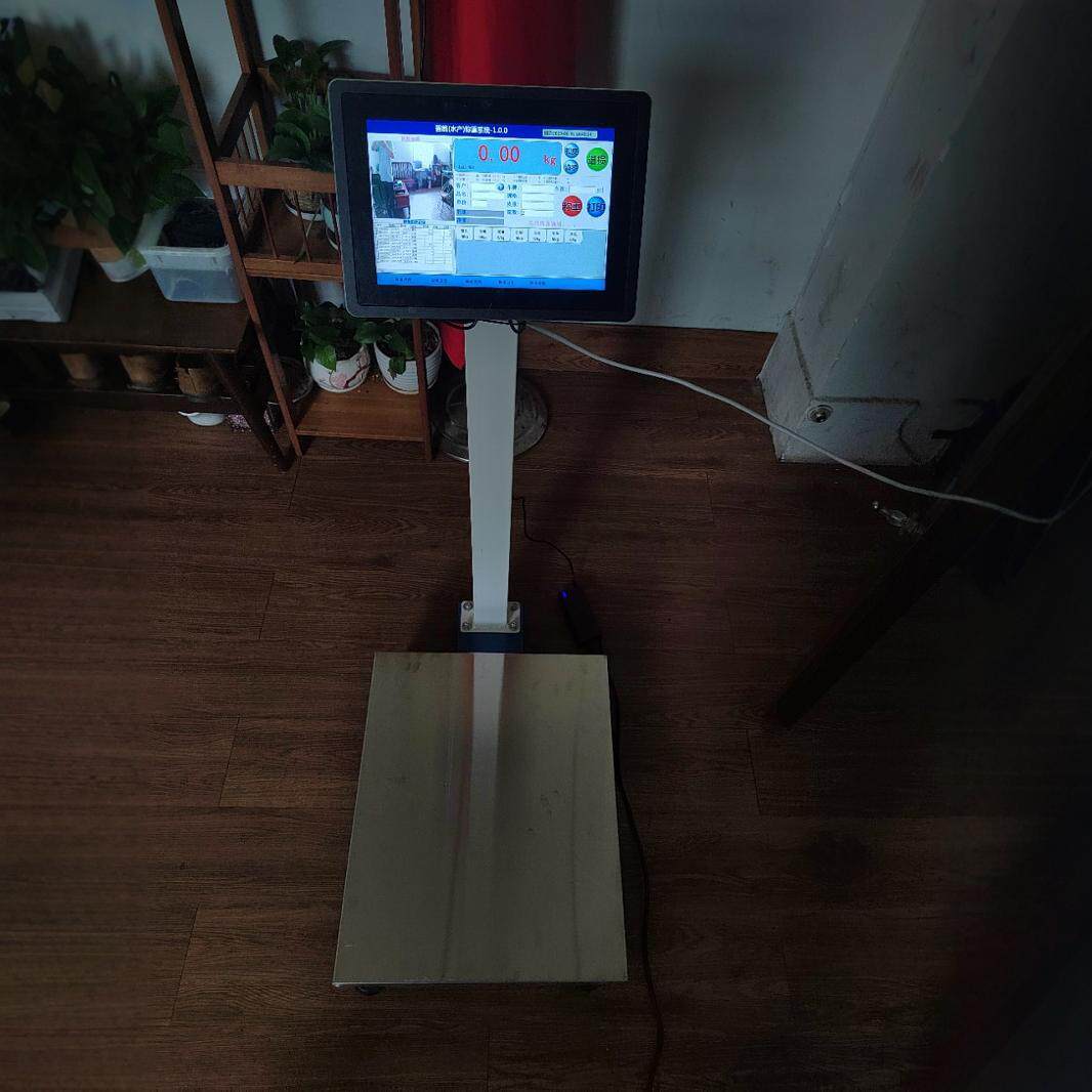 带拍照功能智能电子秤食堂收货智能电子秤100kg200kg