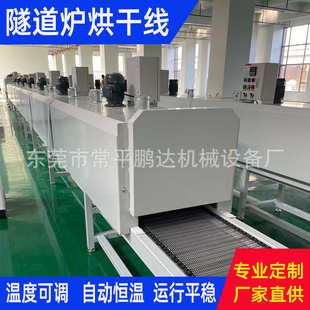 高温隧道炉烘干流水线 五金丝印恒温烤炉输送线 不锈钢网带烘干线