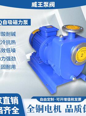 直销不锈钢自吸式磁力泵ZCQ32-25-145无泄漏耐腐蚀化工自吸式