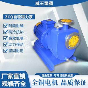 145无泄漏耐腐蚀化工自吸式 磁力泵ZCQ32 直销不锈钢自吸式