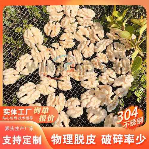 核XGY坚桃去皮清洗机 核桃仁物理脱皮皮机 华邦仁机械果去内设备