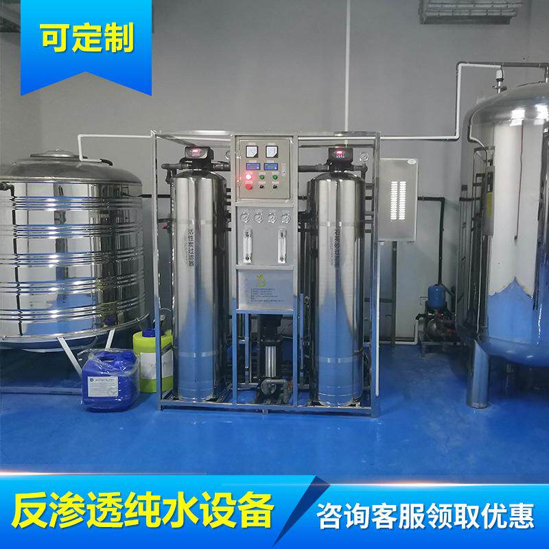 纯水设备ro一级反渗透纯净水处理设备全自动工业用edi超纯水设备