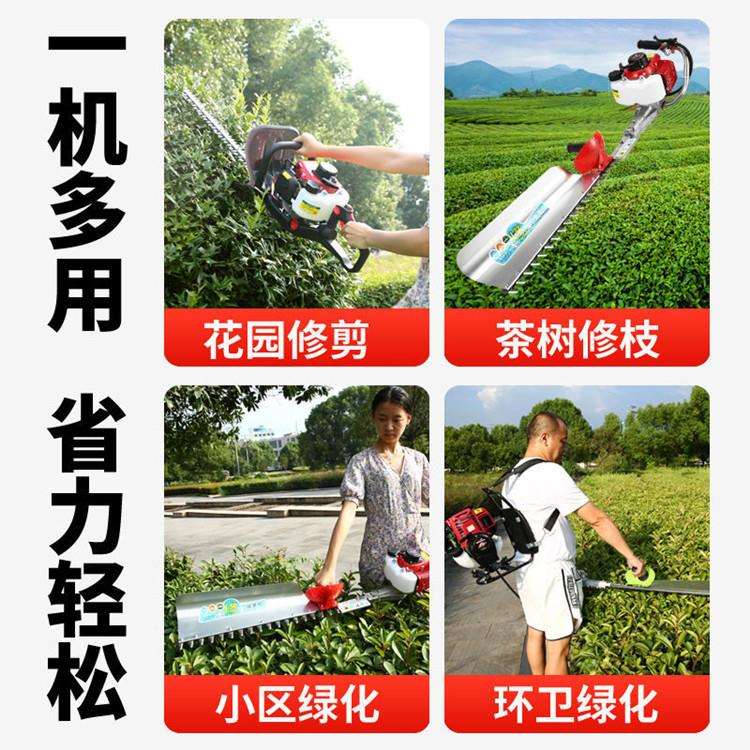 冬青篱笆修剪造型绿篱机 手提四冲程汽油绿篱机 背负式绿篱修枝剪