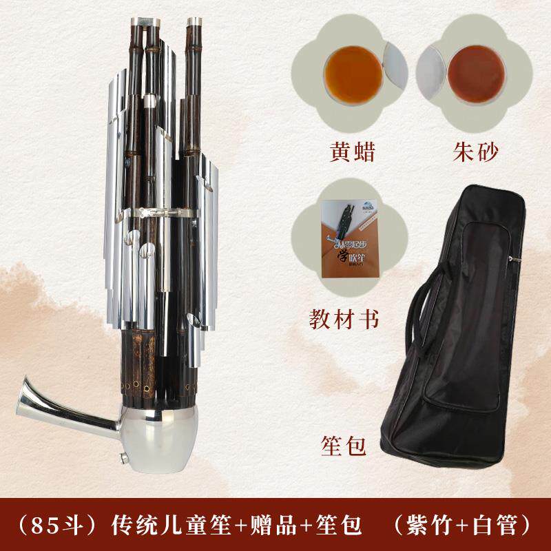 高档宏艺凤鸣扩音紫演竹学21簧笙乐器圆方笙初者笙包专业奏厂家直