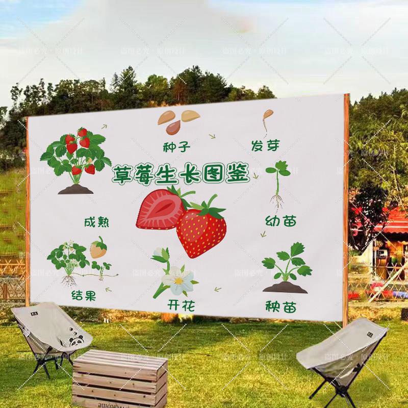 采摘园采摘草莓西瓜蓝莓枇杷番茄定制装饰布移动地摊宣传广告布