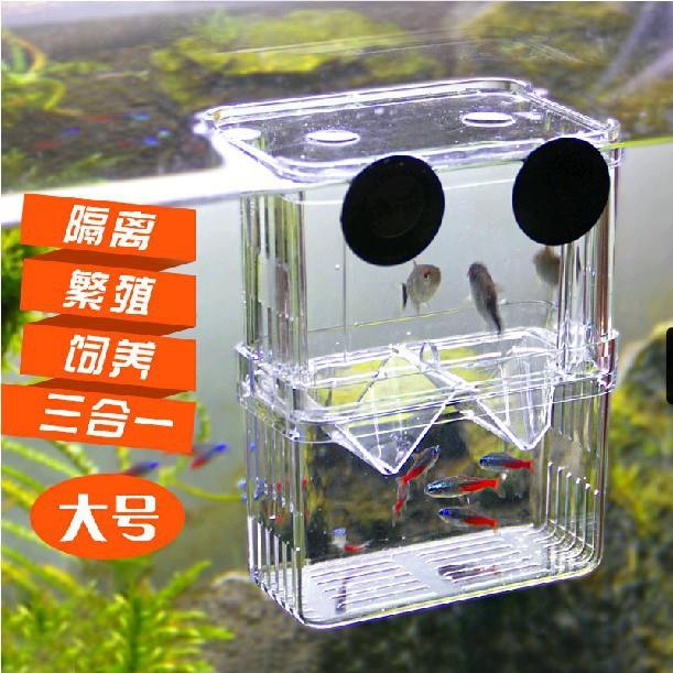 孔雀鱼孵化盒双层自浮式孵化器 幼鱼繁殖亚克力隔离盒斗鱼盒 大号