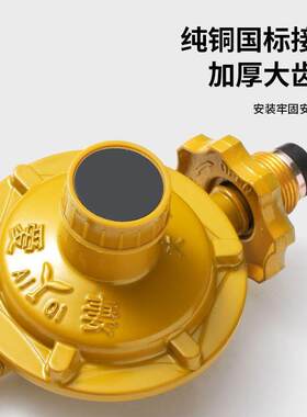通用家用液化气减压阀热水器煤气阀门带表煤气灶低压阀煤气减压阀