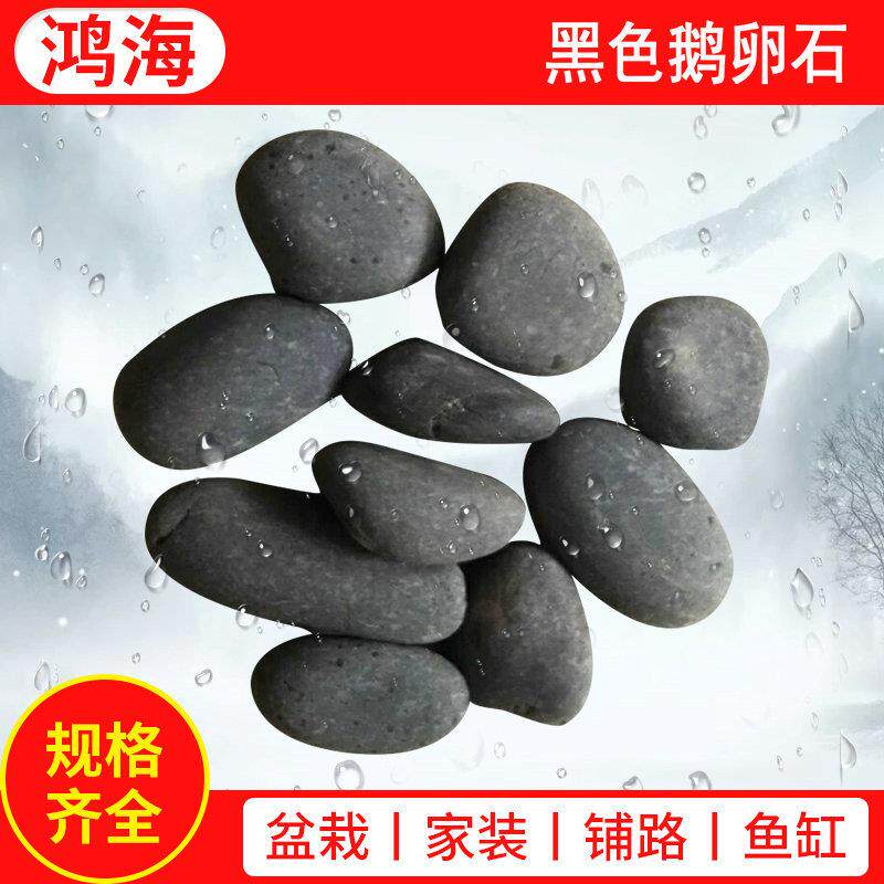 黑色鹅卵石园林装修铺健身小路专用石子 黑色石子精品鹅卵石