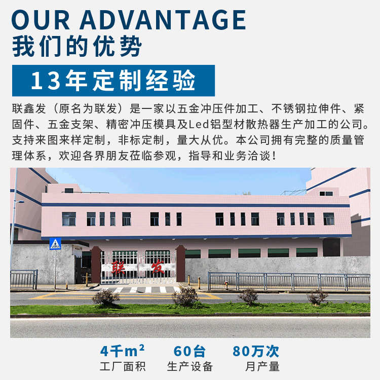 厂家加工制造高精度五金冲压模具切口冲孔压型模具多孔连冲成型模