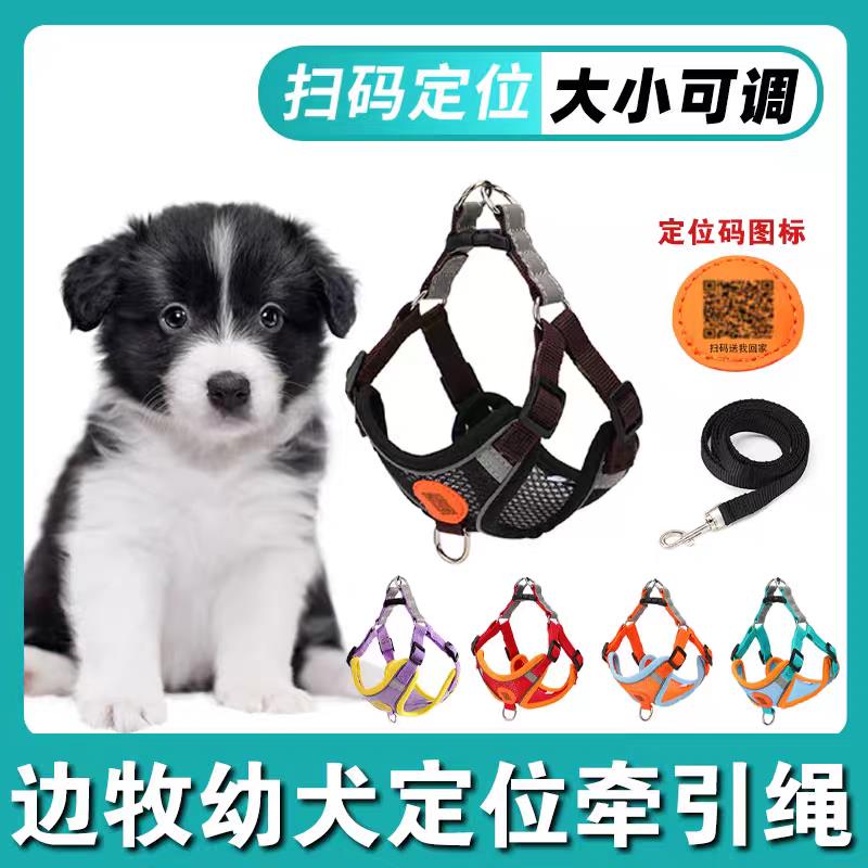 边境牧羊犬小狗狗专用牵引绳胸抱婴袋幼犬背心式外出遛狗绳子用品